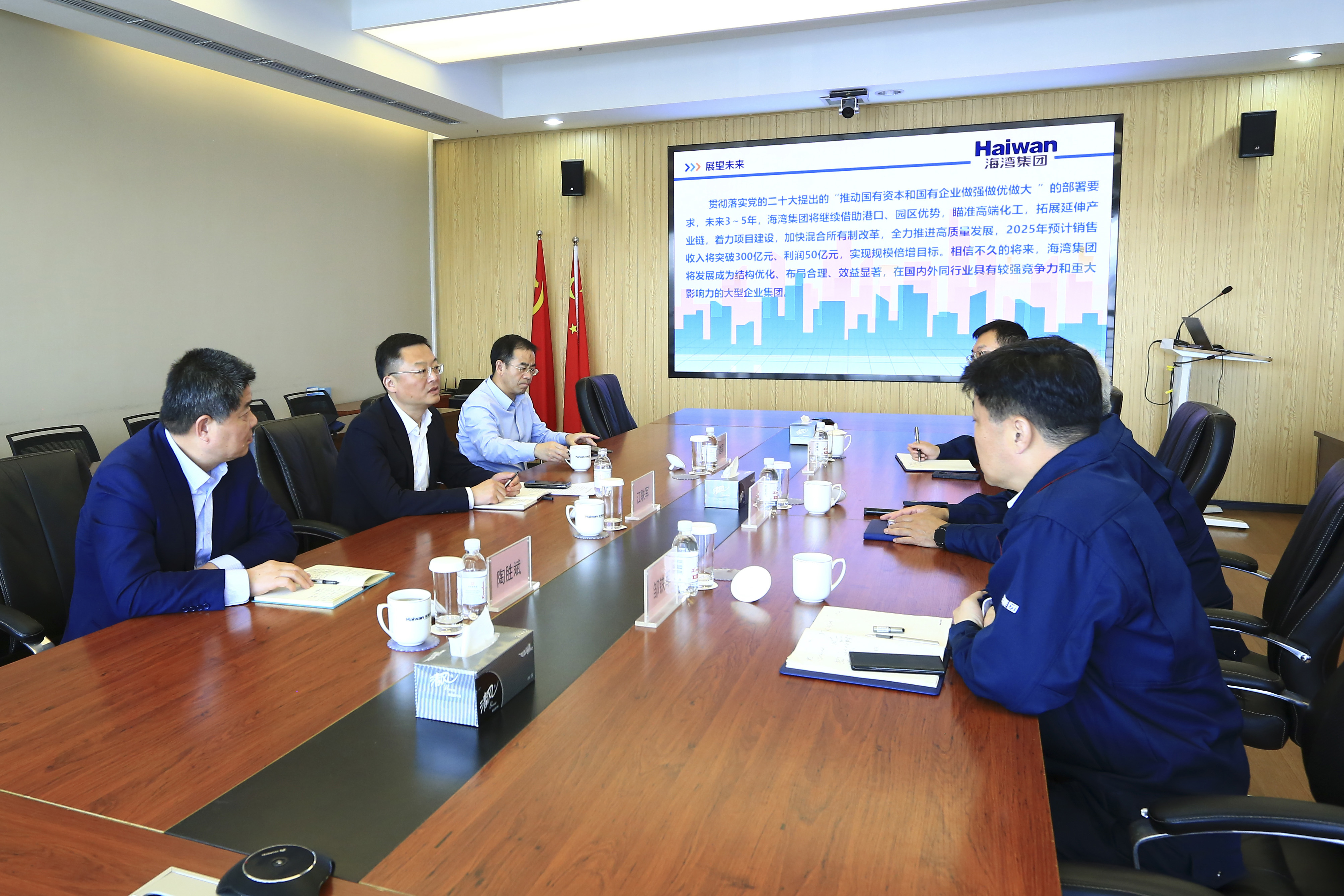 市政府(fu)副秘書(shu)長到海(hai)灣化學(xué)調研