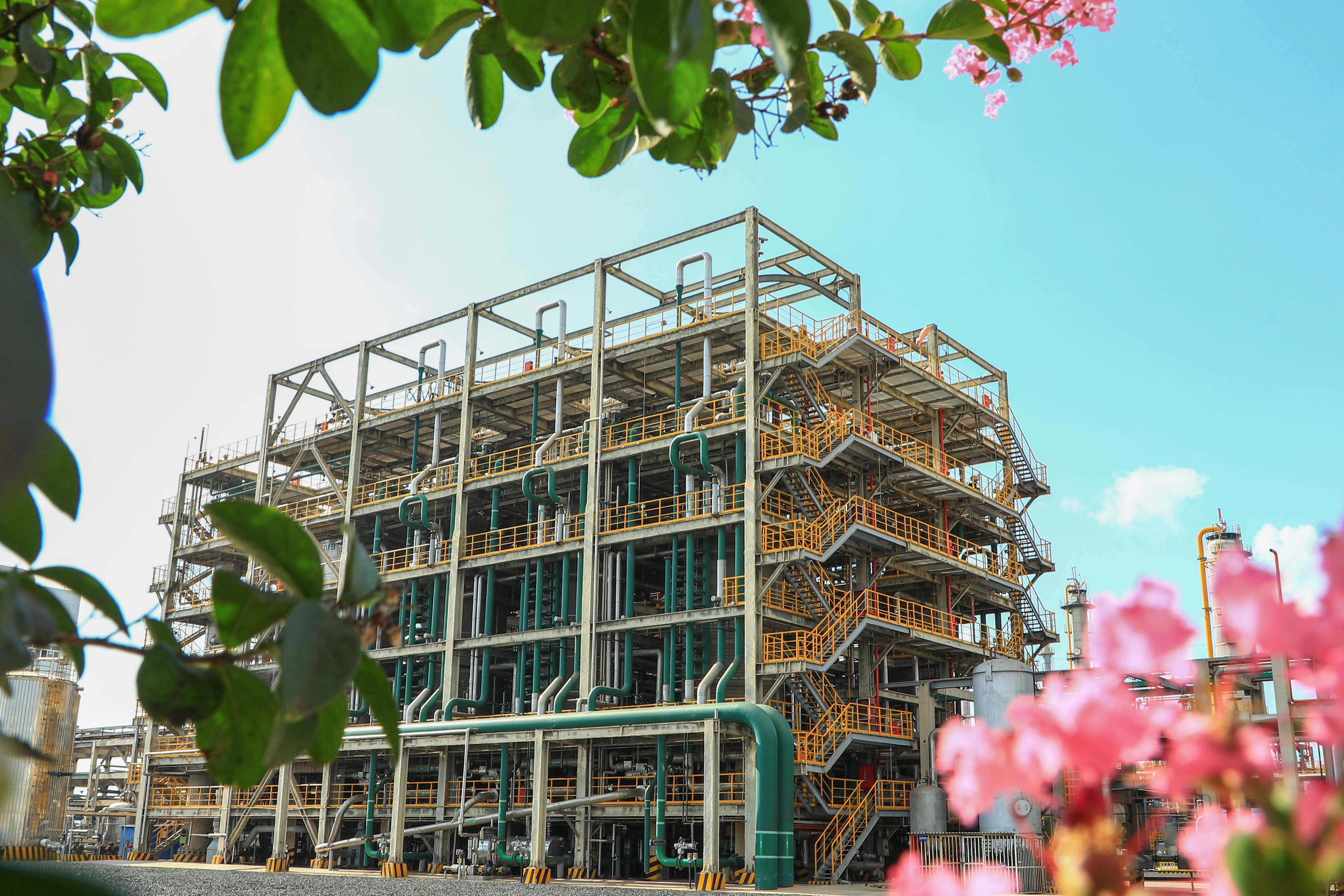 海灣化(huà)學上榜中國品(pin)牌價值排行榜(bǎng)